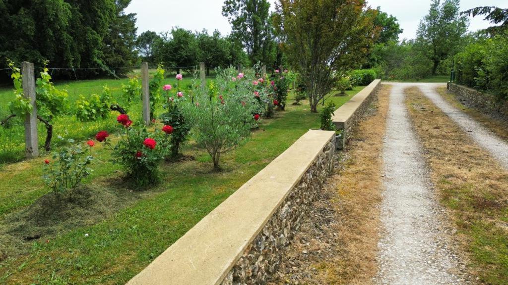 דירות Eglise-Neuve-de-Vergt Chez Lucia A 15Min De Perigueux A 6Km Autoroute A89 מראה חיצוני תמונה